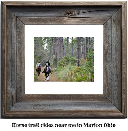 horse trail rides near me in Marion, Ohio